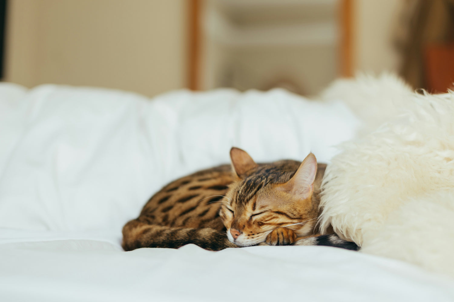 ¿Cuánto debe durar una siesta para ser efectiva?